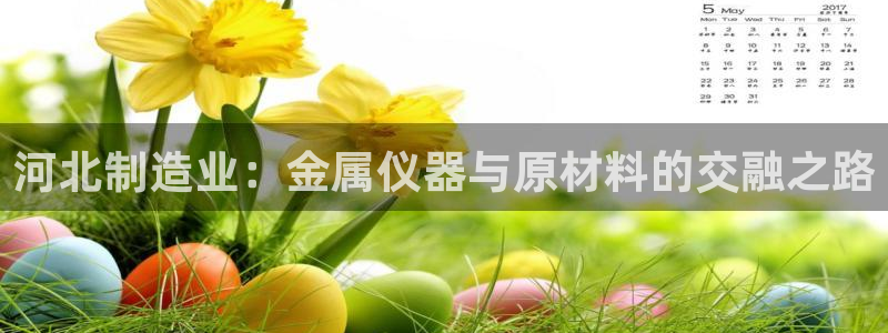 太原云顶国际老板：河北制造业：金属仪器与原材料的交融之路