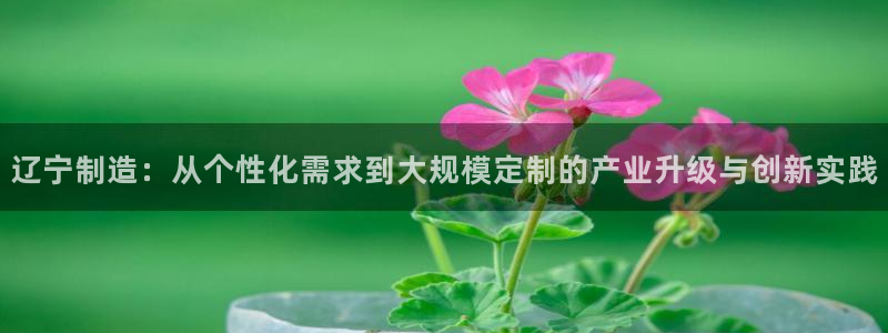 云顶国际电子注册平台：辽宁制造：从个性化需求到大规模定制的产