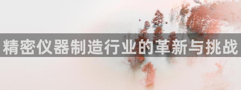 lol云顶1v0：精密仪器制造行业的革新与挑战