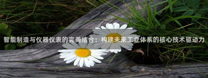 云顶国际装饰设计怎么样：智能制造与仪器仪表的完美结合：构建未
