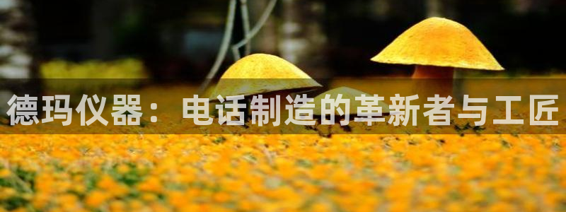 云顶国际大酒店位于哪里：德玛仪器：电话制造的革新者与工匠