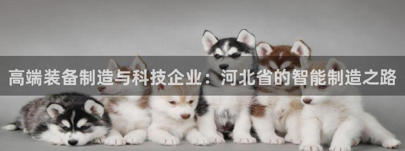 云顶国际软装公司怎么样知乎：高端装备制造与科技企业：河北省的
