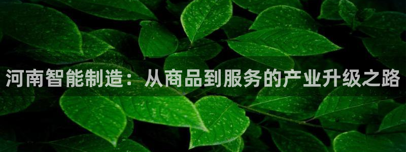 云顶国际平台违法吗?：河南智能制造：从商品到服务的产业升级之