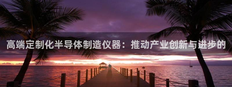 云顶集团创始人：高端定制化半导体制造仪器：推动产业创新与进步