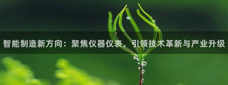 云顶集团有限公司,林东简历：智能制造新方向：聚焦仪器仪表，引