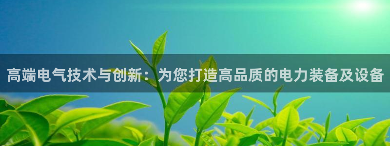 云顶国际注册了有什么影响：高端电气技术与创新：为您打造高品质