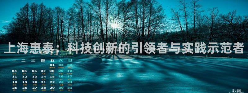 云顶国际是合法的吗：上海惠泰：科技创新的引领者与实践示范者