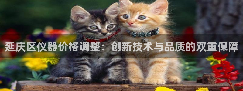 云顶国际测试服免费：延庆区仪器价格调整：创新技术与品质的双重