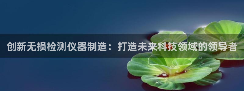云顶集团有限公司简介概况：创新无损检测仪器制造：打造未来科技
