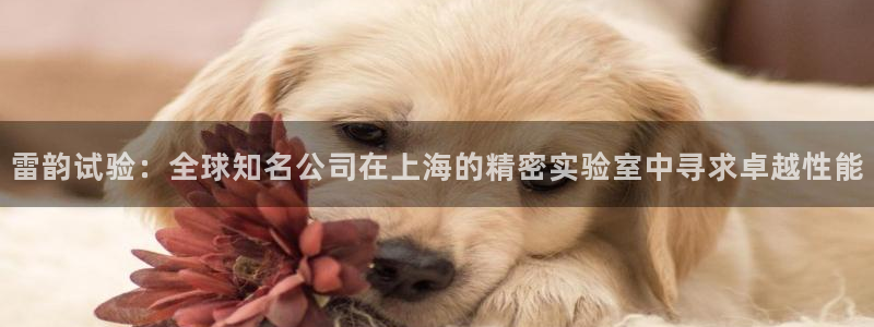 云顶集团网投：雷韵试验：全球知名公司在上海的精密实验室中寻求