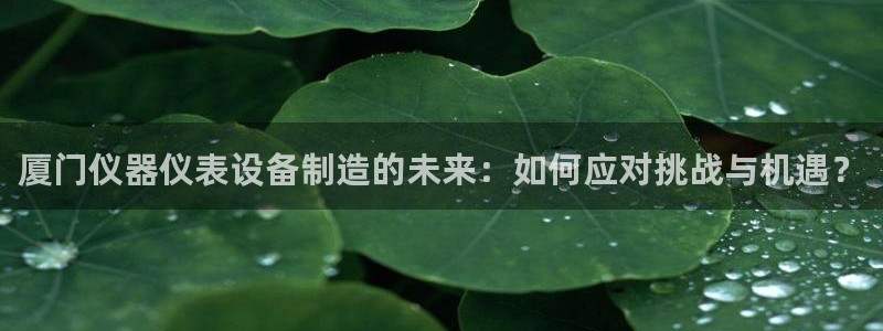 云顶国际平台怎么样：厦门仪器仪表设备制造的未来：如何应对挑战