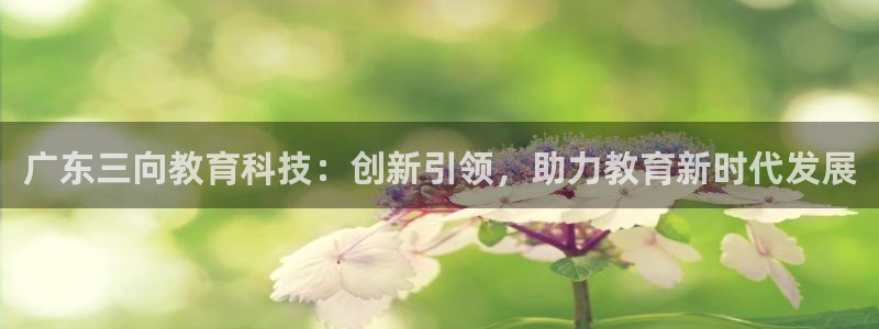 云顶国际服手游：广东三向教育科技：创新引领，助力教育新时代发