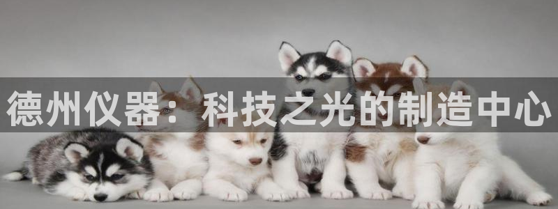 云顶国际足球app下载安装：德州仪器：科技之光的制造中心