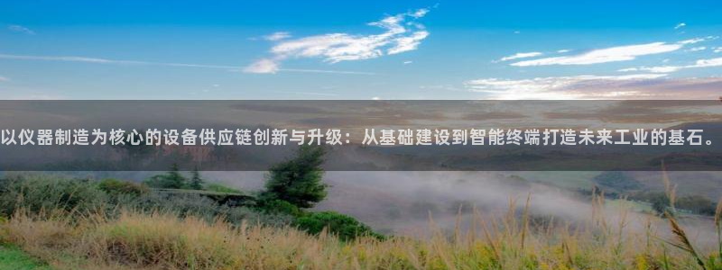 云顶国际会所电话：以仪器制造为核心的设备供应链创新与升级：从