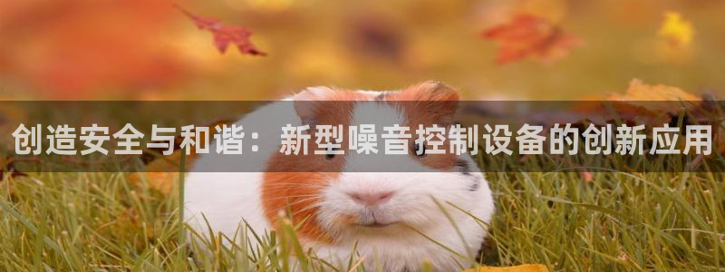 云顶国际服加速器：创造安全与和谐：新型噪音控制设备的创新应用