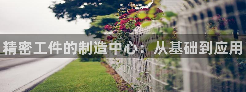 云顶国际登录：精密工件的制造中心：从基础到应用