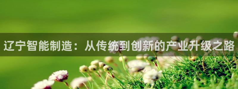 云顶国际高中学费多少钱：辽宁智能制造：从传统到创新的产业升级