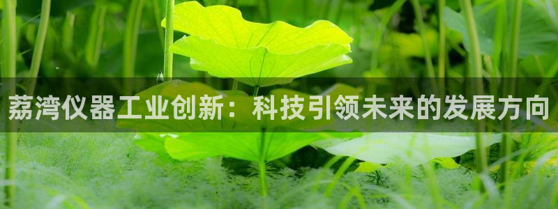 云顶国际服更新了吗：荔湾仪器工业创新：科技引领未来的发展方向