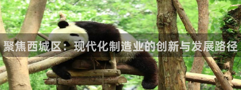 云顶集团董事长林东简历照片：聚焦西城区：现代化制造业的创新与