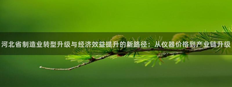 云顶国际平台游戏官网入口：河北省制造业转型升级与经济效益提升