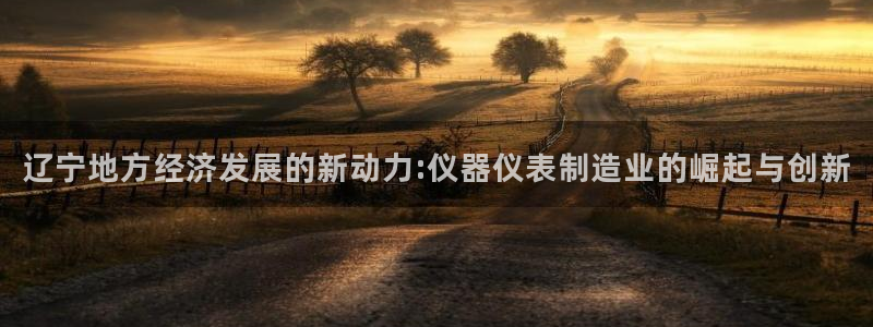 云顶国际app官方下载安装手机版：辽宁地方经济发展的新动力: