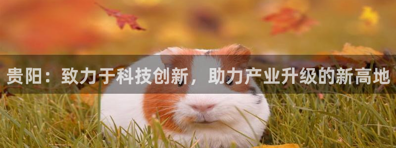 云顶国际公馆是公寓吗还是住宅：贵阳：致力于科技创新，助力产业