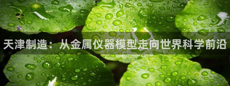 yd2333云顶：天津制造：从金属仪器模型走向世界科学前沿