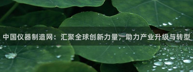 云顶国际培训中心：中国仪器制造网：汇聚全球创新力量，助力产业