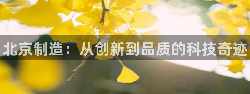 国际服端游云顶在哪下载：北京制造：从创新到品质的科技奇迹