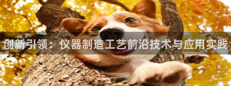 云顶集团中国区总裁：创新引领：仪器制造工艺前沿技术与应用实践