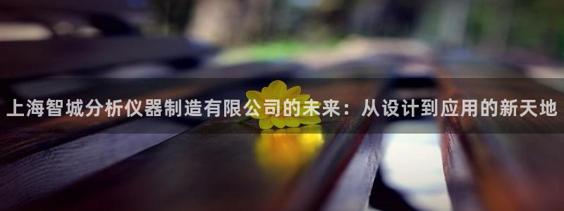 云顶线上赌博：上海智城分析仪器制造有限公司的未来：从设计到应