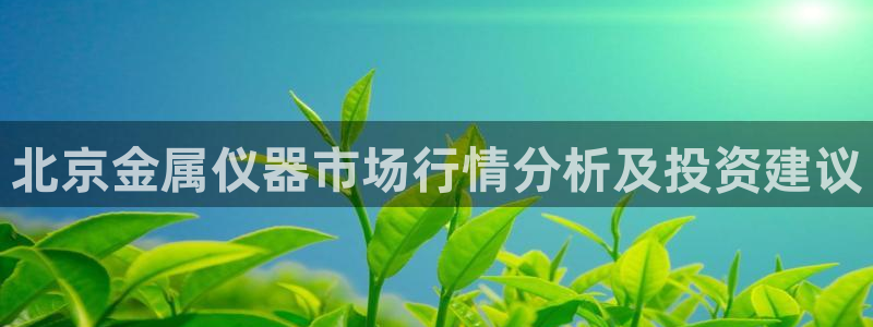 云顶国际公馆怎么样：北京金属仪器市场行情分析及投资建议