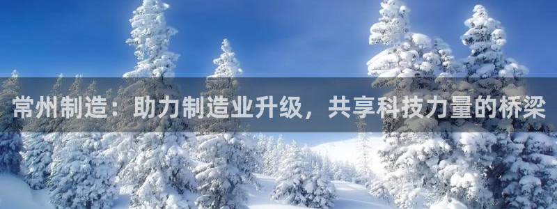 云顶国际培训中心：常州制造：助力制造业升级，共享科技力量的桥