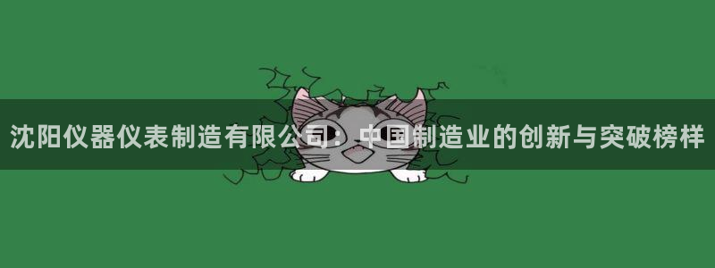 12311云顶线路检测