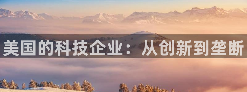 云顶国际服在哪下载：美国的科技企业：从创新到垄断