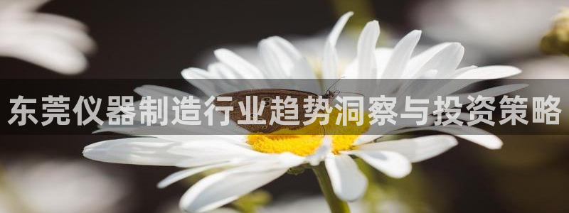 云顶集团介绍：东莞仪器制造行业趋势洞察与投资策略