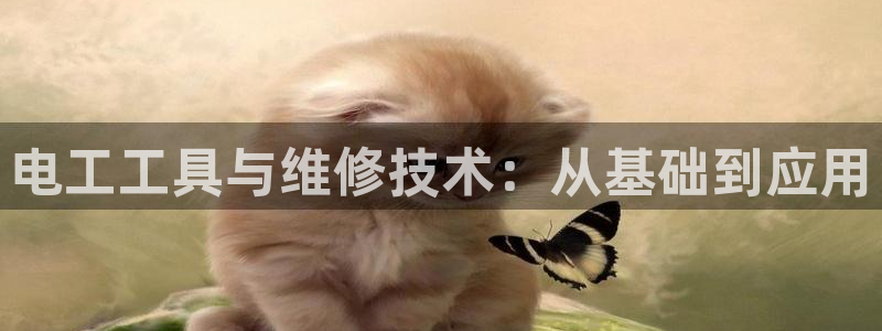 云顶国际yd222：电工工具与维修技术：从基础到应用