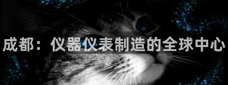 云顶国际版下载：成都：仪器仪表制造的全球中心