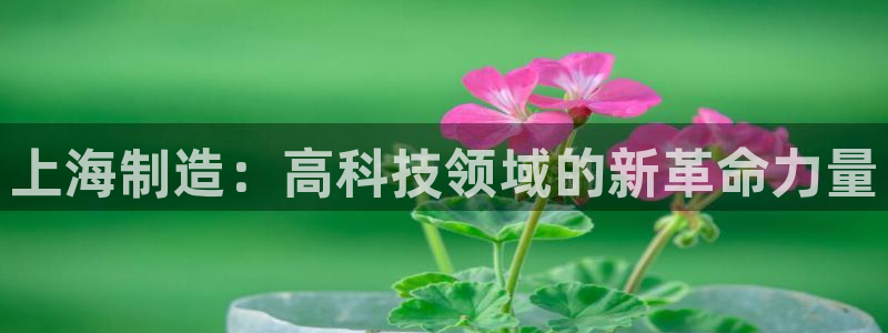 云顶国际高中d s e班学费多少：上海制造：高科技领域的新革