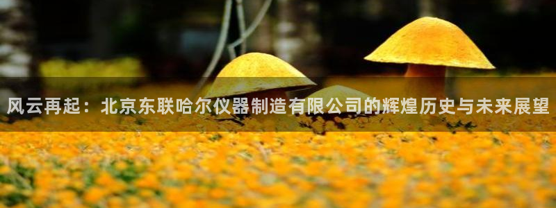 云顶国际网页：风云再起：北京东联哈尔仪器制造有限公司的辉煌历