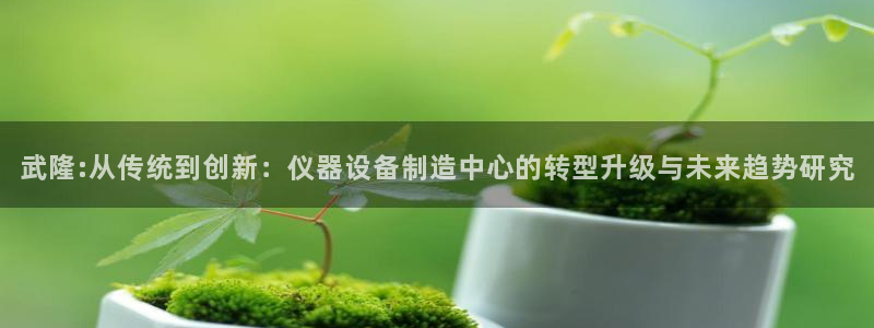 云顶国际一登录：武隆:从传统到创新：仪器设备制造中心的转型升