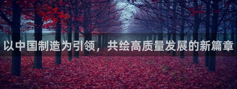 云顶国际是黑台吗还是白台：以中国制造为引领，共绘高质量发展的