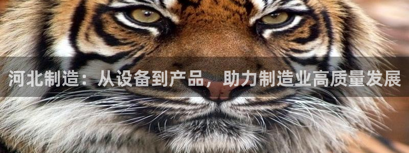 云顶国际APP：河北制造：从设备到产品，助力制造业高质量发展