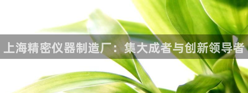 云顶国际服更新s9：上海精密仪器制造厂：集大成者与创新领导者
