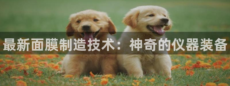 云顶集团有限公司简介电话：最新面膜制造技术：神奇的仪器装备