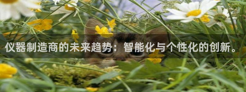 云顶国际存款：仪器制造商的未来趋势：智能化与个性化的创新。