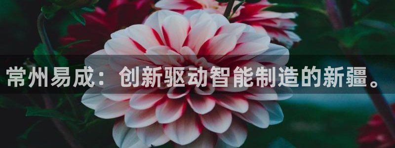 云顶国际酒店：常州易成：创新驱动智能制造的新疆。