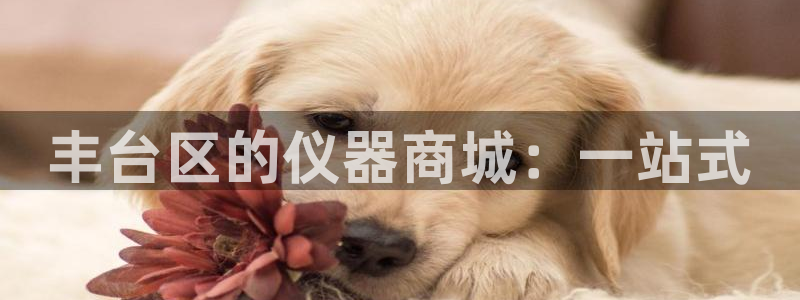 552211云顶网站：丰台区的仪器商城：一站式