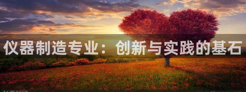 云顶官方：仪器制造专业：创新与实践的基石