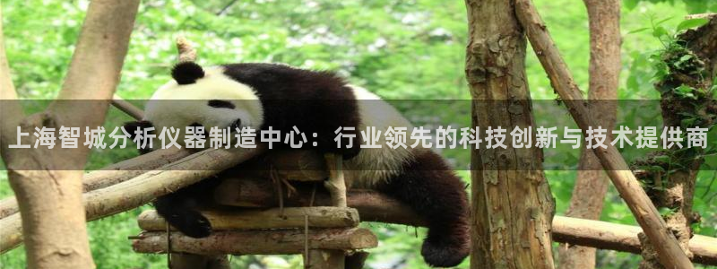 云顶国际音乐会：上海智城分析仪器制造中心：行业领先的科技创新